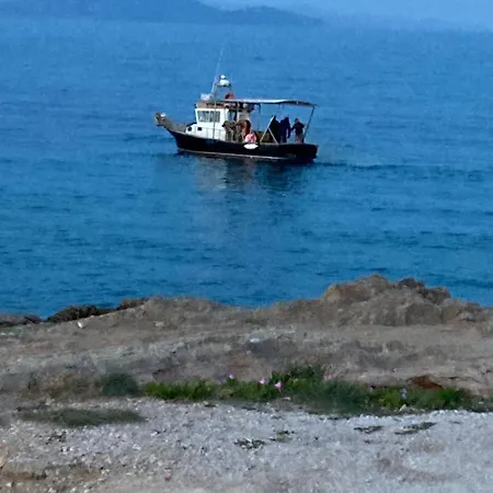 Euphoria Blue * Artemida (Attica)